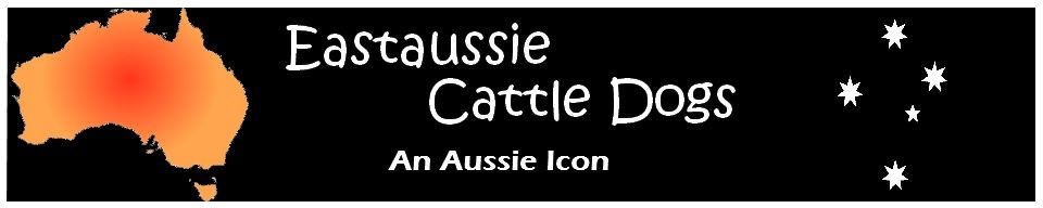 Eastaussie Australian Cattle Dogs